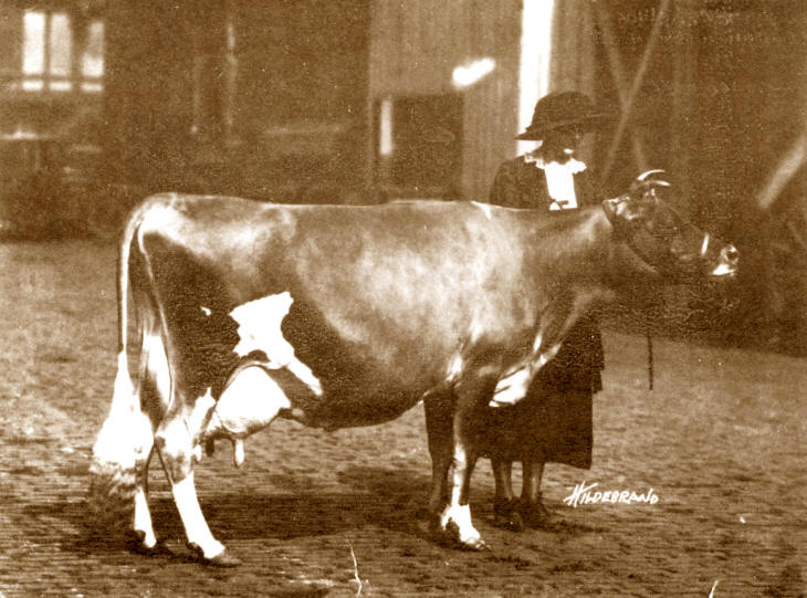 Raleighs Oxford Thistle Grand Champion 1925 at National Dairy Show