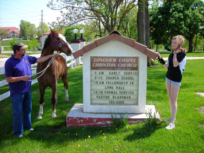 From Walkabout Farms, the Hackney horse, Louie, Longview Farm Elementary School mascot