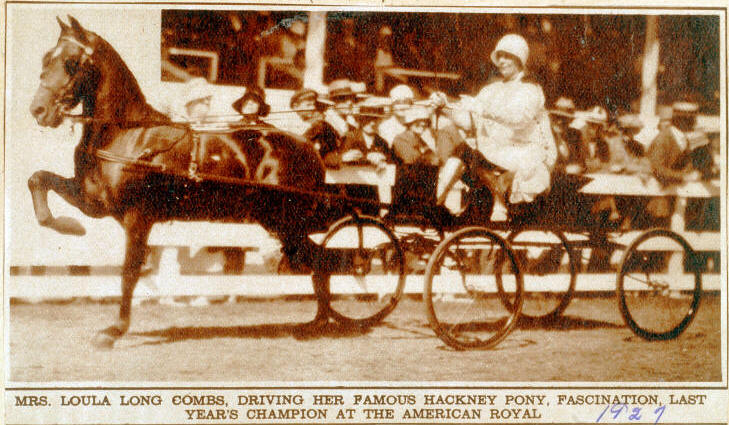 Fascination, Famous Hackey Pony (1927)